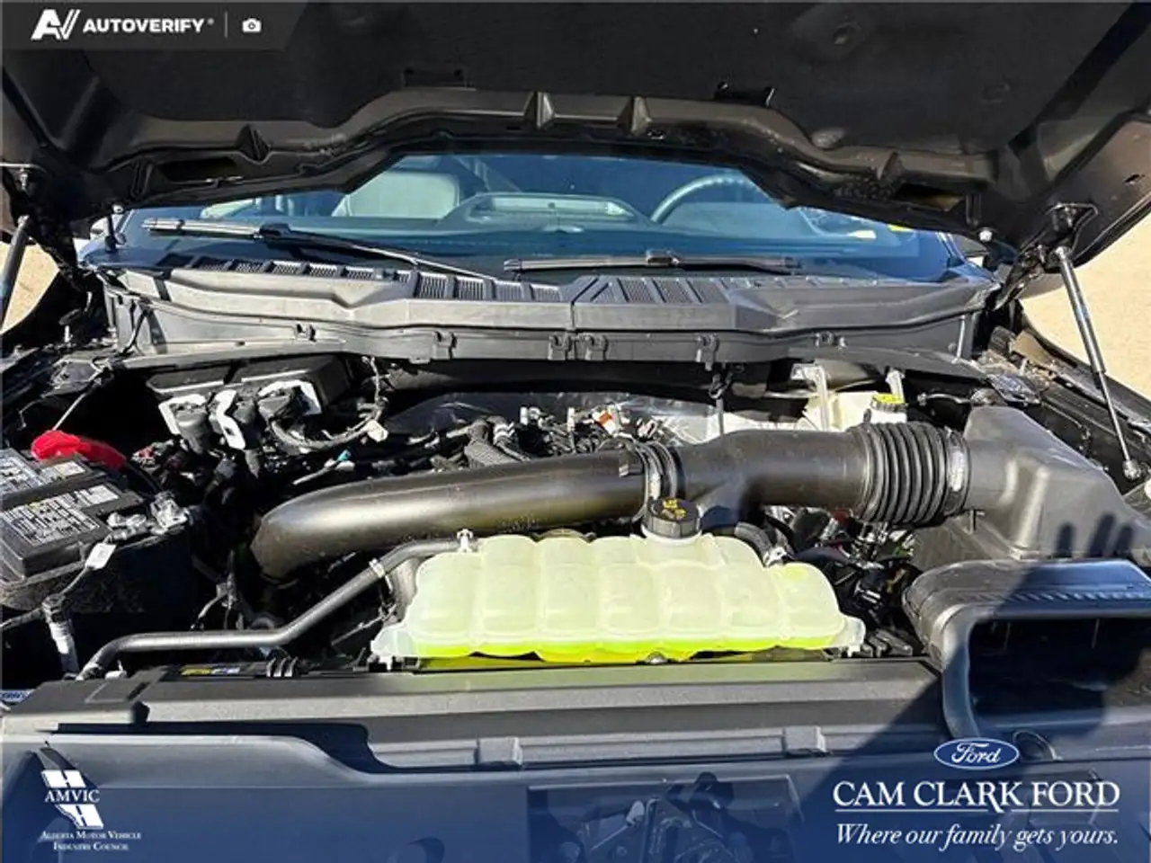 Ford F 150 fotografie Ford F 150