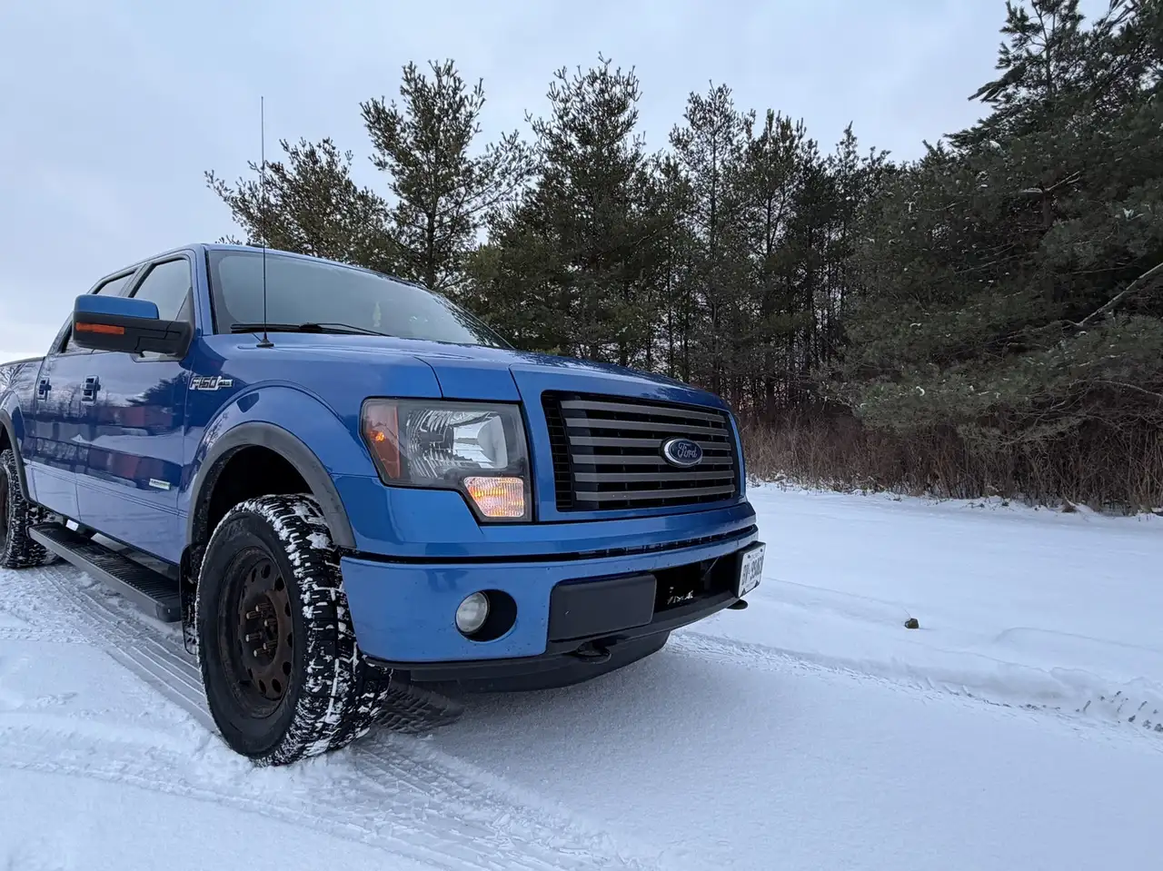 Ford F 150 снимка Ford F 150