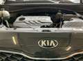 Kia Sportage Sportage 1,6 CRDI Schwarz - thumbnail 12