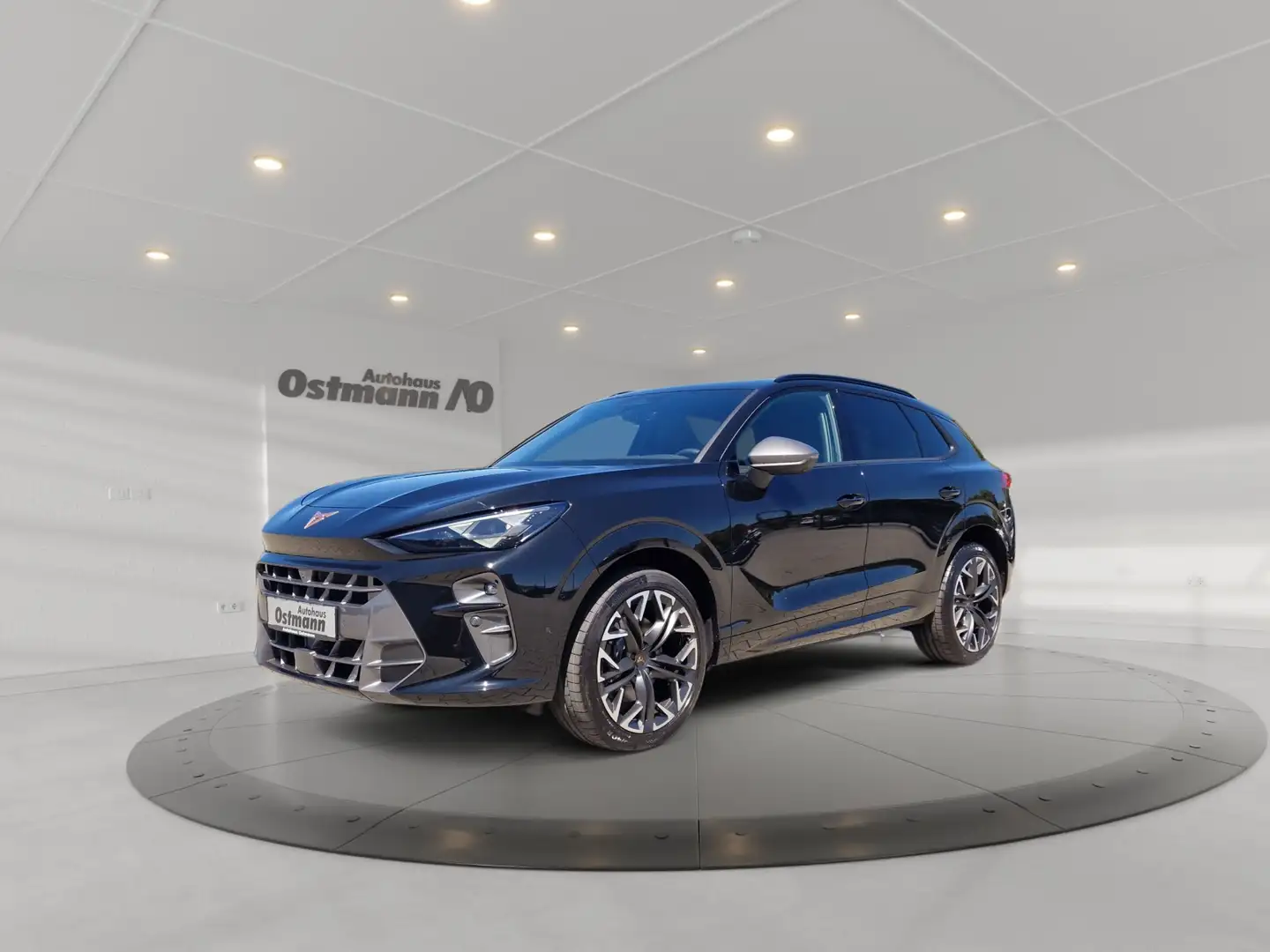 CUPRA Terramar 2.0 TSI 4Drive W VZ DCC ACC FLA 360 Schwarz - 2