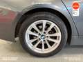 BMW 318 318d F31 Touring Sport 150cv Automatico Grau - thumbnail 7