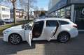 Mazda 6 SKYACTIV-Benzin 194PS 6AG 20THANNIVERSARY Blanco - thumbnail 14