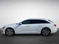 Audi A6 Avant 50 TDI tiptronic quattro Sport NaviPlus L... Weiß - thumbnail 4