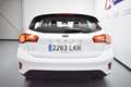 Ford Focus 1.5Ecoblue Trend+ 120 Blanco - thumbnail 14
