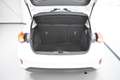 Ford Focus 1.5Ecoblue Trend+ 120 Blanco - thumbnail 13