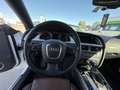 Audi A5 3.0 TDI quattro (176kW) Weiß - thumbnail 15