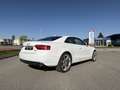 Audi A5 3.0 TDI quattro (176kW) Weiß - thumbnail 3
