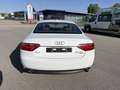 Audi A5 3.0 TDI quattro (176kW) Weiß - thumbnail 6
