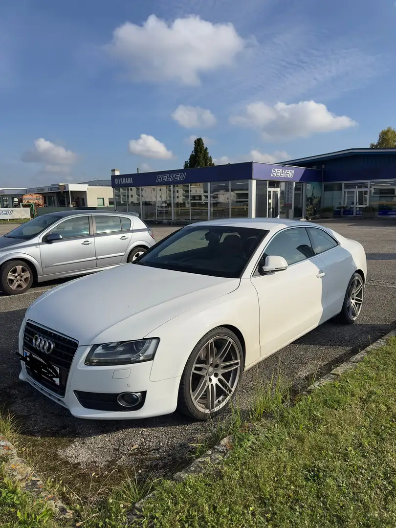 Audi A5 3.0 TDI quattro (176kW) Weiß - 2
