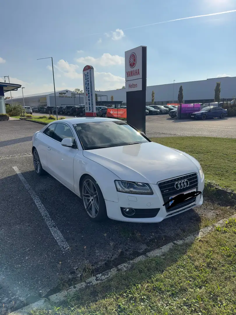 Audi A5 3.0 TDI quattro (176kW) Weiß - 1