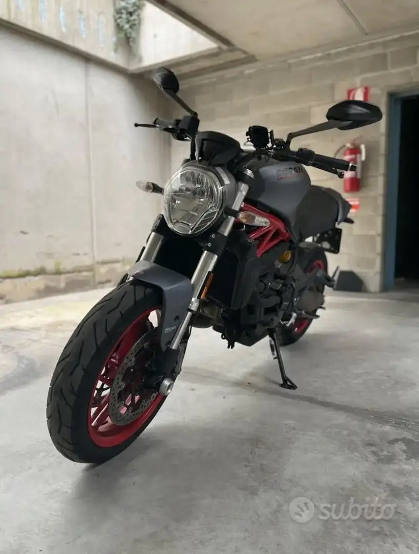 Ducati Monster 821 Dust Grey - 2