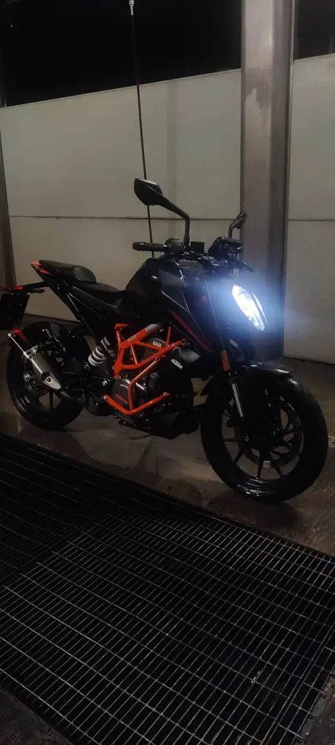 KTM 390 Duke Abs, quick shifter, barre di protezione motore Nero - 2