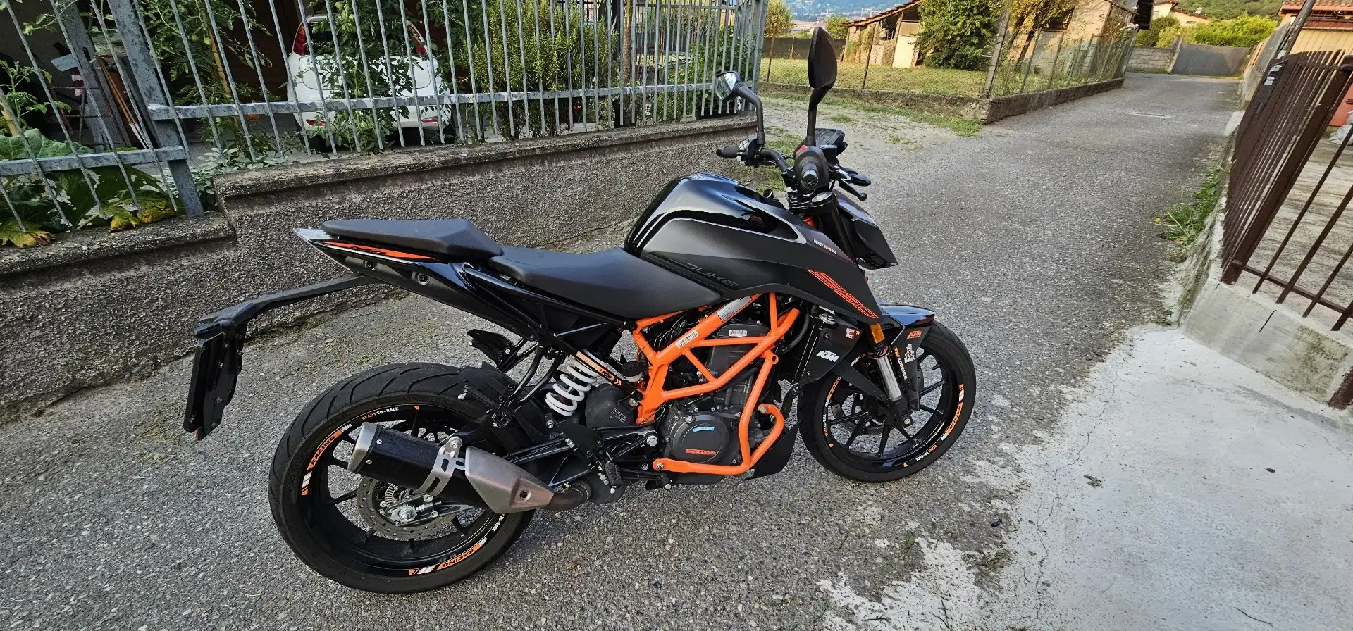 KTM 390 Duke Abs, quick shifter, barre di protezione motore Nero - 1
