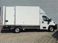 Fiat Ducato CC 3.5T 2.2 MJ 140pk L3H1 | Dubbeldam Box | Verzwa Wit - thumbnail 4