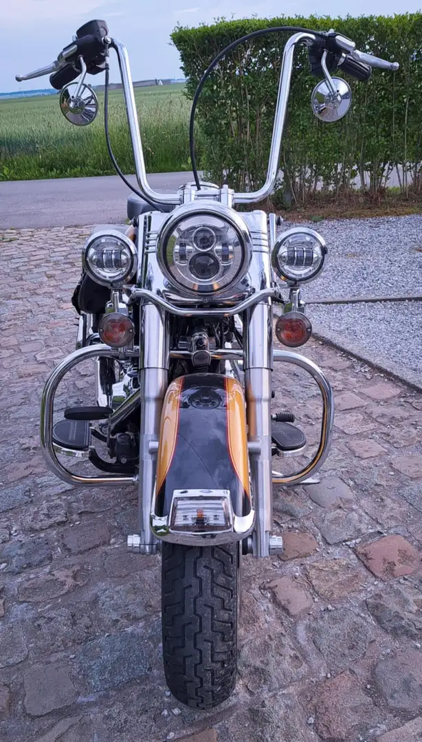 Harley-Davidson Heritage Softail Brons - 2