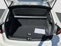 Skoda Fabia 1.0 TSI DSG Tour ACC Kamera LED Weiß - thumbnail 19