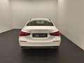 Mercedes-Benz A 220 A 220 4M Limo Progressive Advanced Distro Pano LED Bianco - thumbnail 6