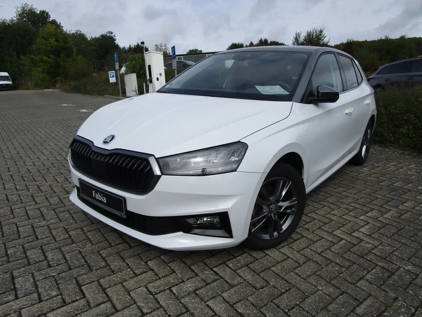 Skoda Fabia 1.0 TSI Colour Concept Style Wit - 1