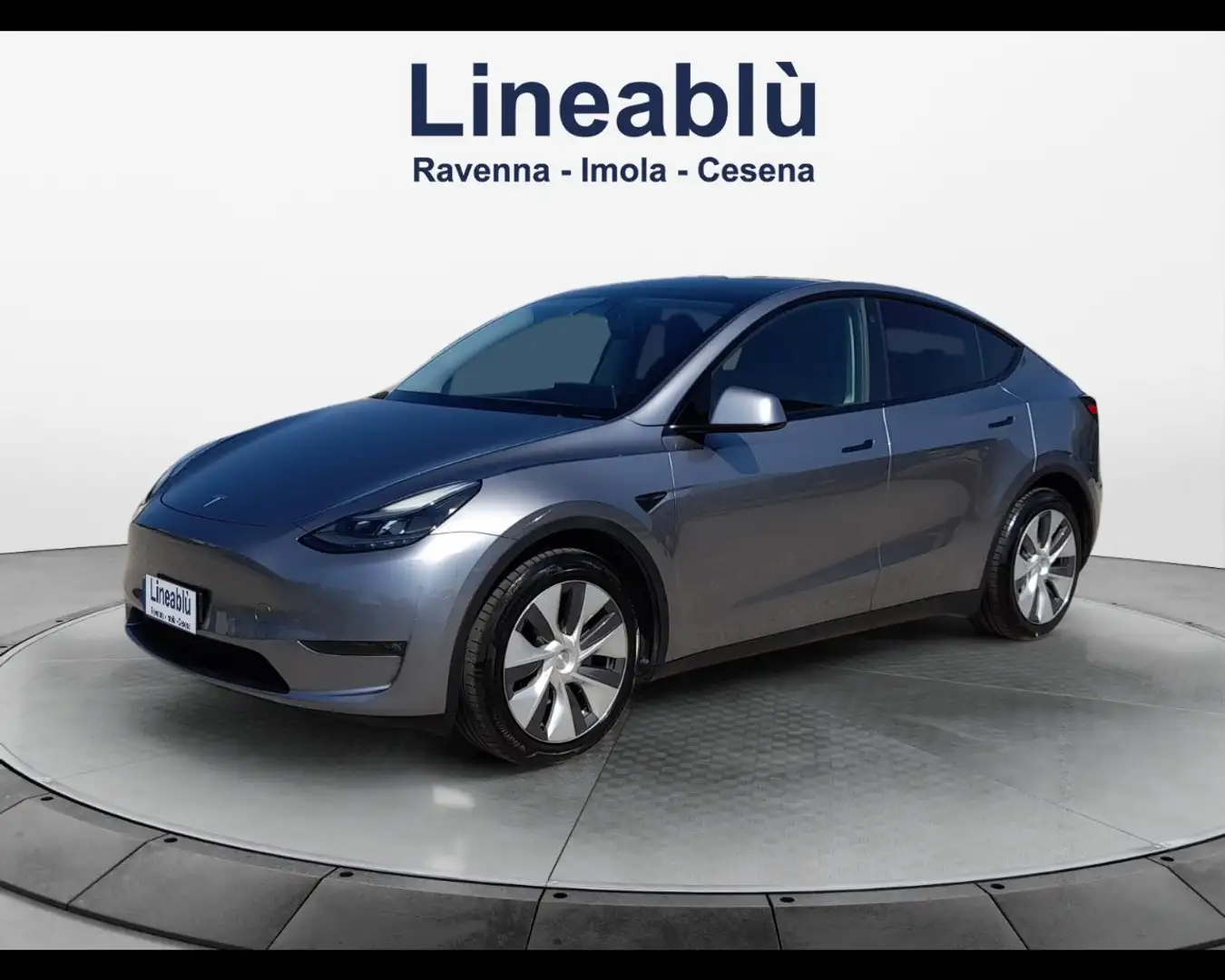 Tesla Model Y Long Range AWD Argento - 1