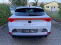 CUPRA Formentor 2.0 TDi DSG 4Drive*ACC*Matrix*Virtual* Weiß - thumbnail 5