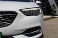 Opel Insignia B Sports Tourer Busi.NEUES  MODELL !!!! Weiß - thumbnail 5