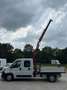Fiat DUCATO MAXI 6+1 CASSONE GRU FASSI Bianco - thumbnail 14