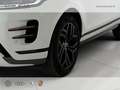 Land Rover Range Rover Evoque 2.0d i4 mhev r-dynamic se awd 204cv auto Weiß - thumbnail 6