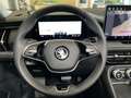 Skoda Kodiaq TDI 4x4 ACC Leder Pano Matrix 5JG AHK 7 Gris - thumbnail 11