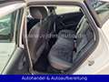 SEAT Ibiza 1.2 TSI Style *PANO*KLIMAAUT*PARKSEN*SITZH Blanc - thumbnail 22
