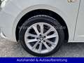 SEAT Ibiza 1.2 TSI Style *PANO*KLIMAAUT*PARKSEN*SITZH Blanc - thumbnail 46