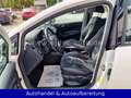 SEAT Ibiza 1.2 TSI Style *PANO*KLIMAAUT*PARKSEN*SITZH Blanc - thumbnail 12