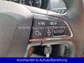 SEAT Ibiza 1.2 TSI Style *PANO*KLIMAAUT*PARKSEN*SITZH Blanc - thumbnail 28
