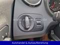 SEAT Ibiza 1.2 TSI Style *PANO*KLIMAAUT*PARKSEN*SITZH Blanc - thumbnail 31