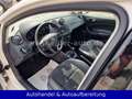 SEAT Ibiza 1.2 TSI Style *PANO*KLIMAAUT*PARKSEN*SITZH Blanc - thumbnail 13
