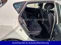 SEAT Ibiza 1.2 TSI Style *PANO*KLIMAAUT*PARKSEN*SITZH Blanc - thumbnail 21