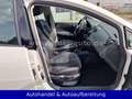 SEAT Ibiza 1.2 TSI Style *PANO*KLIMAAUT*PARKSEN*SITZH Blanc - thumbnail 17