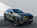 CUPRA Formentor 2.0 Tribe Edition 4Drive*Pano*Brembo* Grau - thumbnail 3
