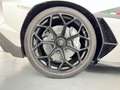 Lamborghini Aventador SVJ Roadster 6.5 V12 770 Bianco - thumbnail 30