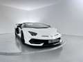 Lamborghini Aventador SVJ Roadster 6.5 V12 770 Blanco - thumbnail 1