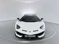 Lamborghini Aventador SVJ Roadster 6.5 V12 770 Bianco - thumbnail 5