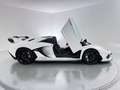 Lamborghini Aventador SVJ Roadster 6.5 V12 770 Blanc - thumbnail 17