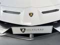 Lamborghini Aventador SVJ Roadster 6.5 V12 770 Bianco - thumbnail 15