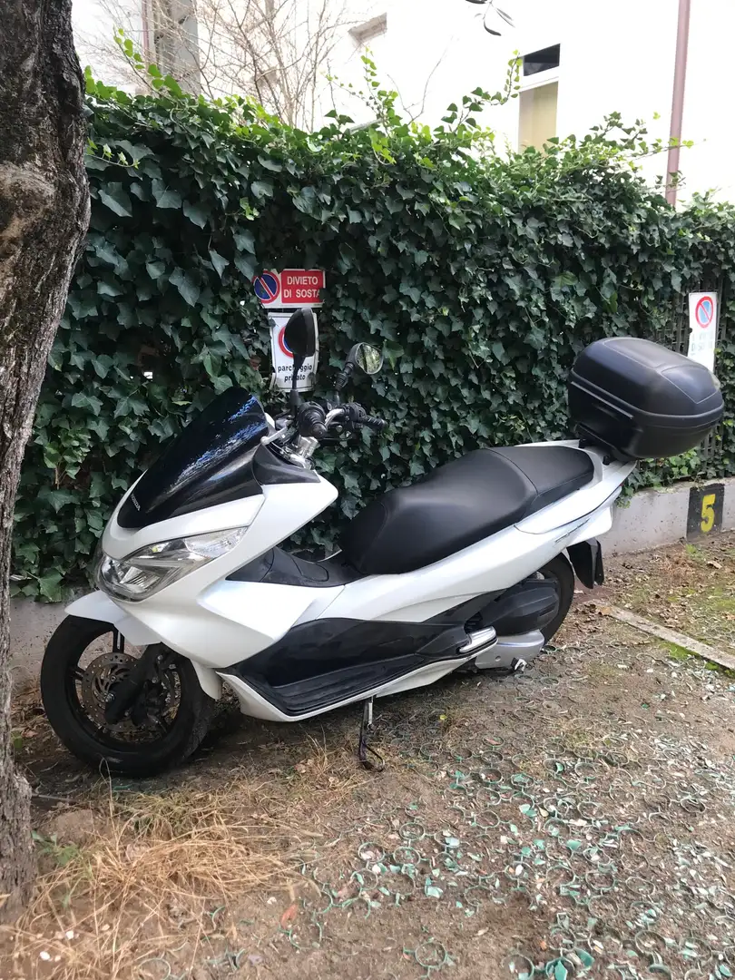Honda PCX 125 Bianco - 1