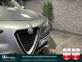 Alfa Romeo Stelvio Stelvio 2.2 D - 180 - BVA  Super Q4 Gris - thumbnail 11