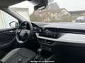 Skoda Kamiq 1.0 TSI  DSG 130 Jahre Weiß - thumbnail 10