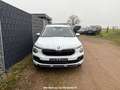 Skoda Kamiq 1.0 TSI  DSG 130 Jahre Weiß - thumbnail 2