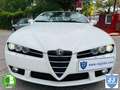 Alfa Romeo Spider 3.2 JTS Q4 Q-tronic Weiß - thumbnail 29