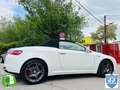 Alfa Romeo Spider 3.2 JTS Q4 Q-tronic Weiß - thumbnail 31