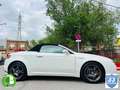 Alfa Romeo Spider 3.2 JTS Q4 Q-tronic Weiß - thumbnail 32
