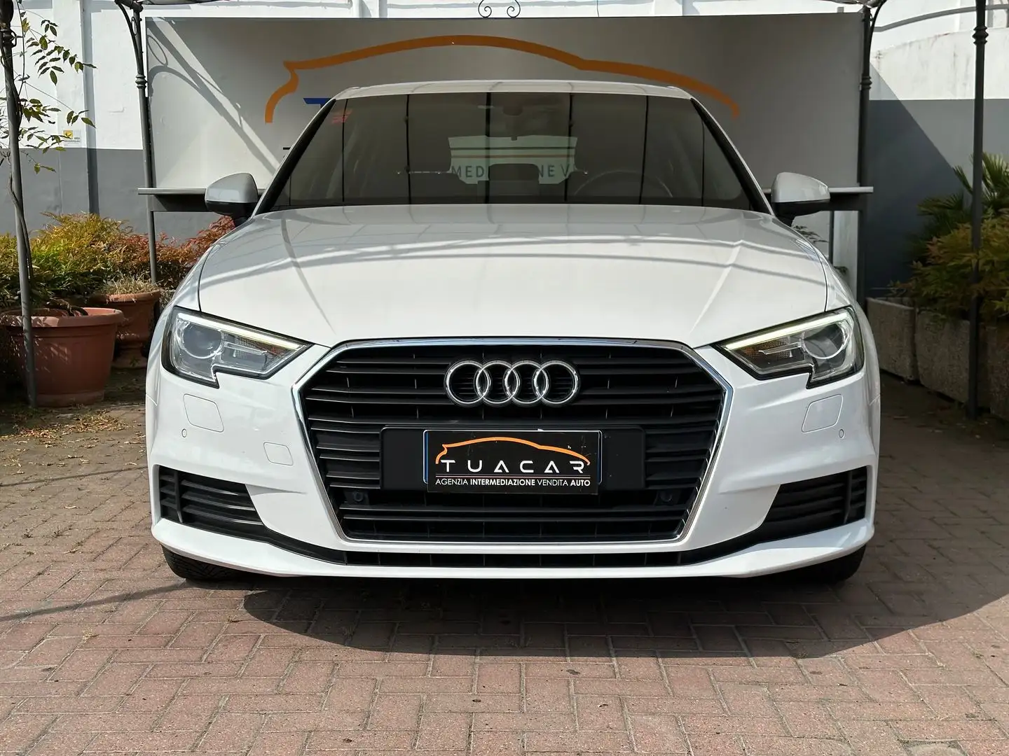 Audi A3 Business 1.6 30 TDI Bianco - 2